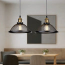 DecorBites™ Black Iron Net-Cage Pendant Light Fixture for Kitchen, Bedroom, Living Room, Restaurant