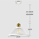 DecorBites™ Black Iron Net-Cage Pendant Light Fixture for Kitchen, Bedroom, Living Room, Restaurant