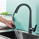 DecorBites™ Black Kitchen Faucet Single Handle Pull Out Hot Cold Water Mixer Tap