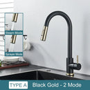 DecorBites™ Black Kitchen Faucet: Single Handle Pull Out Mixer, Two Function Hot and Cold Water Taps