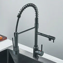 DecorBites™ Black Kitchen Faucet Spring Pull Down Sprayer Dual Spout Nozzle Mixer Tap