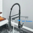 DecorBites™ Black Kitchen Faucet Spring Pull Down Sprayer Dual Spout Nozzle Mixer Tap