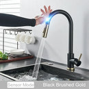 DecorBites™ Black Kitchen Faucet Touch Sensor Mixer Tap
