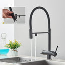 Matte black kitchen faucet with purifier and dual handles