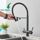 Matte black kitchen faucet with purifier and dual handles