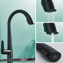 DecorBites™ Black Kitchen Faucet with Pull Out Sprayer and Single Lever Control