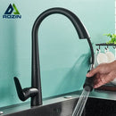 DecorBites™ Black Kitchen Faucet with Pull Out Sprayer and Single Lever Control