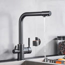 DecorBites™ Black Kitchen Faucet with Rotatable Water Purification Feature