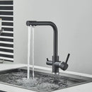 DecorBites™ Black Kitchen Faucet with Rotatable Water Purification Feature