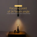 DecorBites™ Black LED Pendant Light 5W CRI 97 Double Anti-glare Spot Light for Living Room