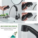 DecorBites™ Black Lift Basin Faucet with Pull Out Sprayer for Bathroom Sink - Dual Nozzle
