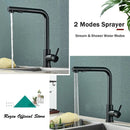 Decorbites black pull out kitchen faucet with dual mode nozzle