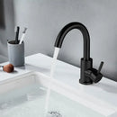 DecorBites™ Black Stainless Steel Bathroom Faucet - Single Handle