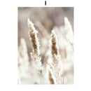 DecorBites™ Bohemian Beach Landscape Wall Art - Modern Home Decor
