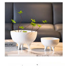 DecorBites™ Ceramic Flower Pot with Tripod Stand