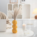 DecorBites™ Ceramic Fruit Vase for Home and Office