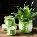 DecorBites™ Chinese Cabbage Ceramic Vase: Table Decoration, Flowers Arrangement, Room Aesthetic Decor
