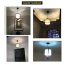DecorBites™ Chinese Cloth Chandelier for Bedroom, Dining Room, Corridor, Hotel - Light and Stylish