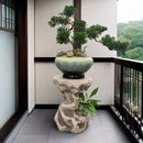 Modern minimalist green ceramic bonsai tree living room decor