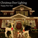 Golden illuminated decorbites christmas reindeer – outdoor led light