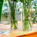 DecorBites™ Clear Acrylic Hurricane Flower Vase - Large Size
