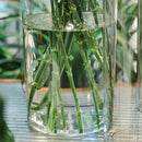DecorBites™ Clear Acrylic Hurricane Flower Vase - Large Size