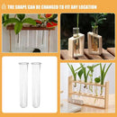DecorBites™ Clear Glass Test Tube Vases for Plants