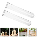 DecorBites™ Clear Glass Test Tube Vases for Plants