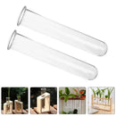 Wood Glass Test Tube Vase