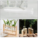 DecorBites™ Clear Glass Test Tube Vases for Plants
