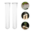 DecorBites™ Clear Glass Test Tube Vases for Plants