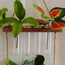 DecorBites™ Clear Glass Test Tube Vases for Plants