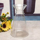 DecorBites™ Clear Nordic Plastic Vase for Hydroponic Flowers