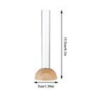 DecorBites™ Clear Nordic Plastic Vase for Hydroponic Flowers