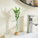 DecorBites™ Clear Plastic Test Tube Vase for Home Decor