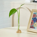 DecorBites™ Clear Vase with Bamboo Base Tabletop Decoration