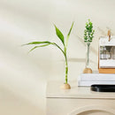 DecorBites™ Clear Vase with Bamboo Base Tabletop Decoration