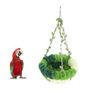 DecorBites™ Cozy Coral Fleece Parrot Hammock - Green