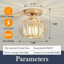 DecorBites™ Crystal Ceiling Light Fixture E26 E27 Modern Glod Black Chandelier
