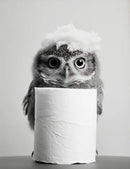DecorBites™ Cute Animals Canvas Wall Art for Bathroom