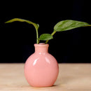 DecorBites™ Cute Mini Ceramic Flower Vase Pot