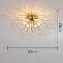 Decorbites dandelion crystal led ceiling light for living room