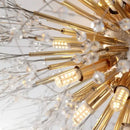 Decorbites dandelion crystal led ceiling light for living room
