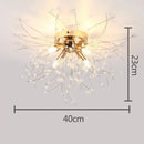 Decorbites dandelion crystal led ceiling light for living room
