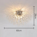 Decorbites dandelion crystal led ceiling light for living room