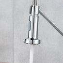 DecorBites™ Dual Function Chrome Kitchen Sprayer Head, Replace Spout Stream for Faucet