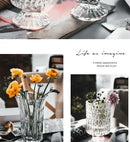 DecorBites™ Elegant Crystal Glass Vase for Flower Arrangement