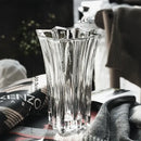 DecorBites™ Elegant Crystal Glass Vase for Flower Arrangement
