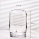 DecorBites™ Elegant European INS Glass Flower Vase