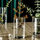 DecorBites™ Elegant Glass Cylinder Vase for Flowers